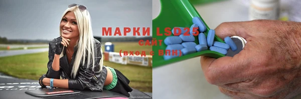 PSILOCYBIN Алексеевка