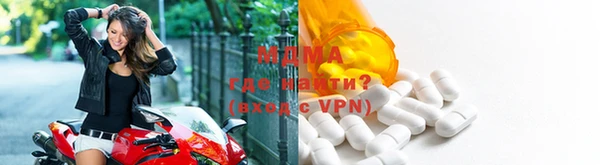 индика Медвежьегорск