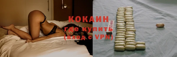 соль ск Алзамай