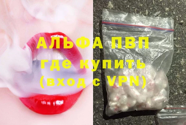 шишки Мегион