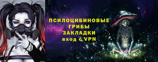 PSILOCYBIN Алексеевка