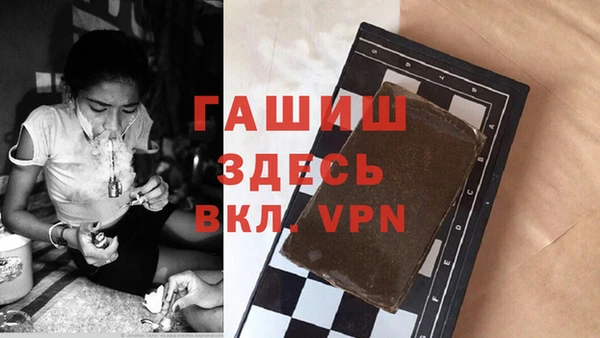 индика Медвежьегорск